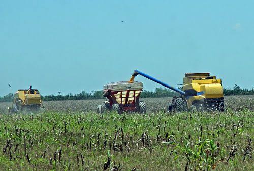 Gobierno elimina impuestos para maquinaria de sectores clave