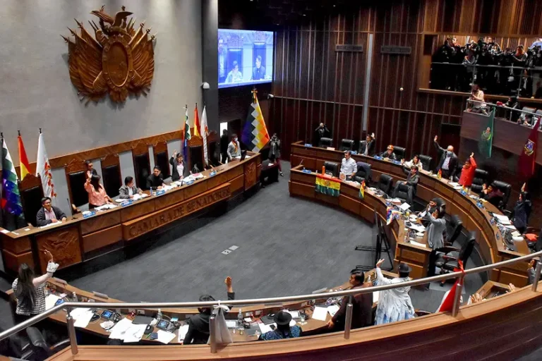 Análisis en el Senado sobre el crédito del FMI por $us 1.900 millones