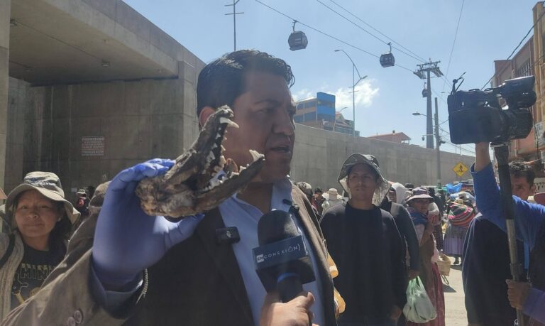 Detectan carne de zorro en feria de Río Seco tras denuncia ciudadana