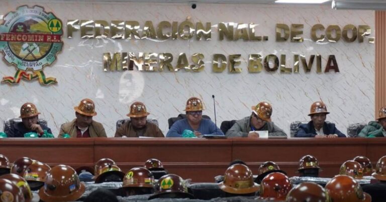 Cooperativistas mineros demandan derogación del decreto sobre diésel y piden renuncias ministeriales