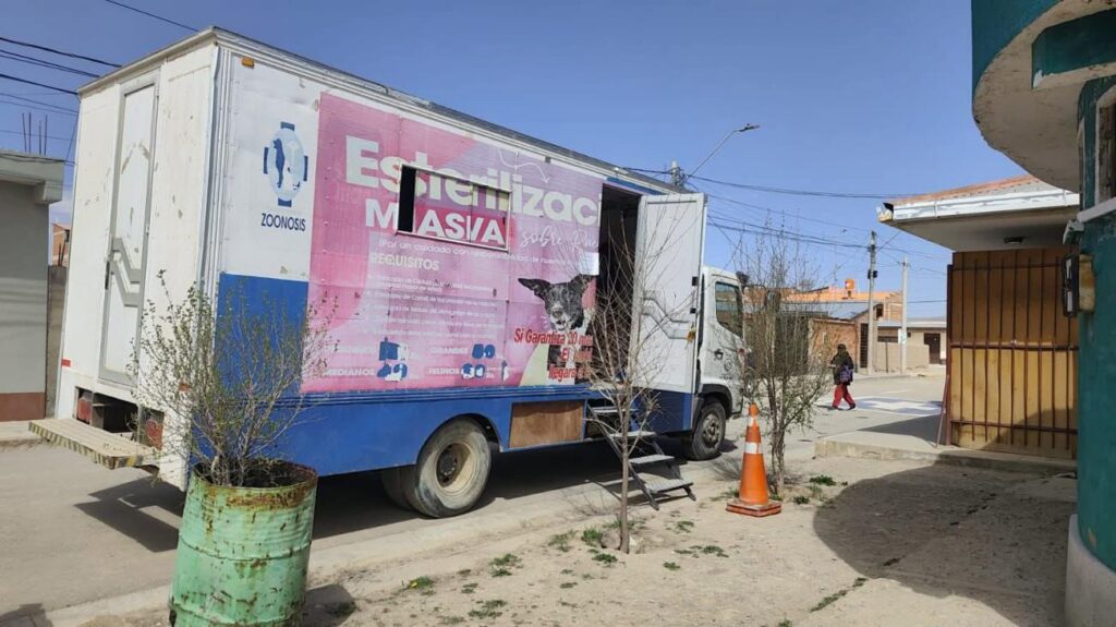 Suspensión de esterilizaciones de mascotas en Oruro por aumento del diésel