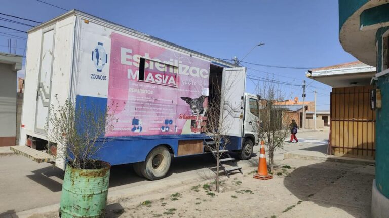 Suspensión de esterilizaciones de mascotas en Oruro por aumento del diésel