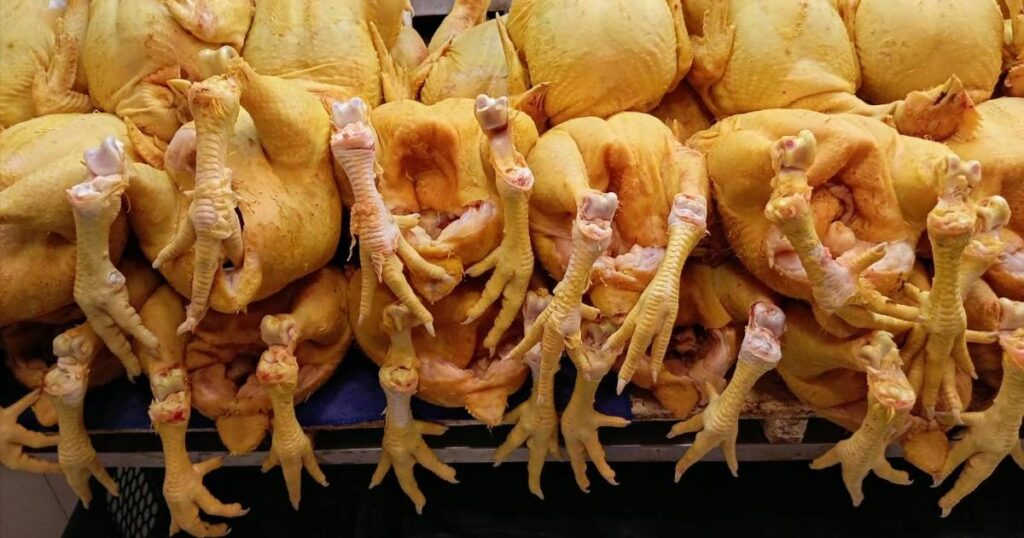 Los precios del pollo caen en el eje central del país