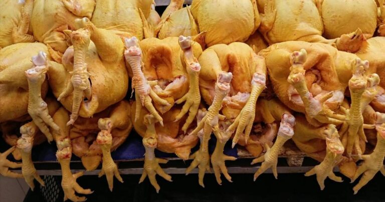 Los precios del pollo caen en el eje central del país