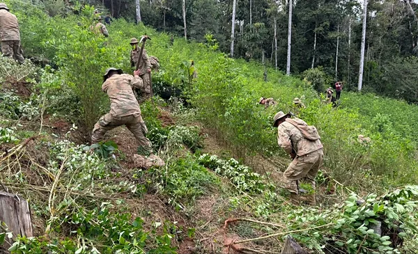 Bolivia sigue en la lista de naciones reprobadas en la lucha antidrogas de EEUU