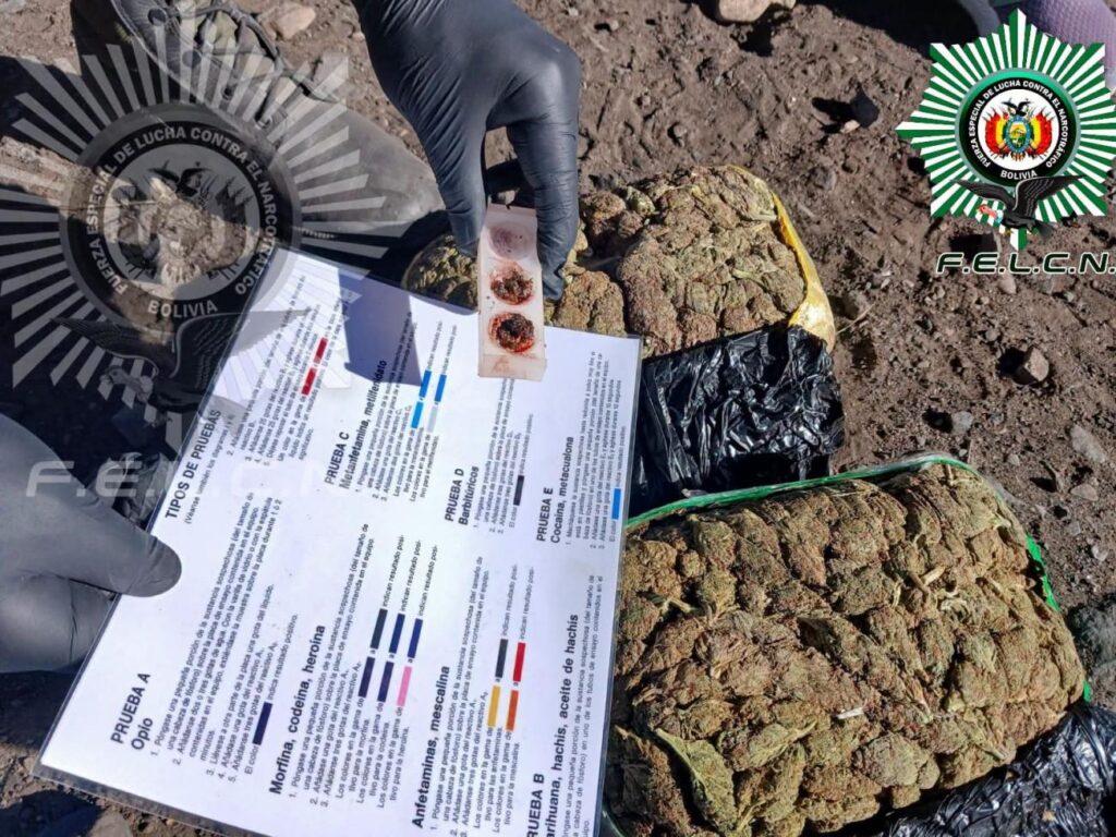 Detienen a dos bolivianos con 50 cápsulas de cocaína en la frontera con Chile
