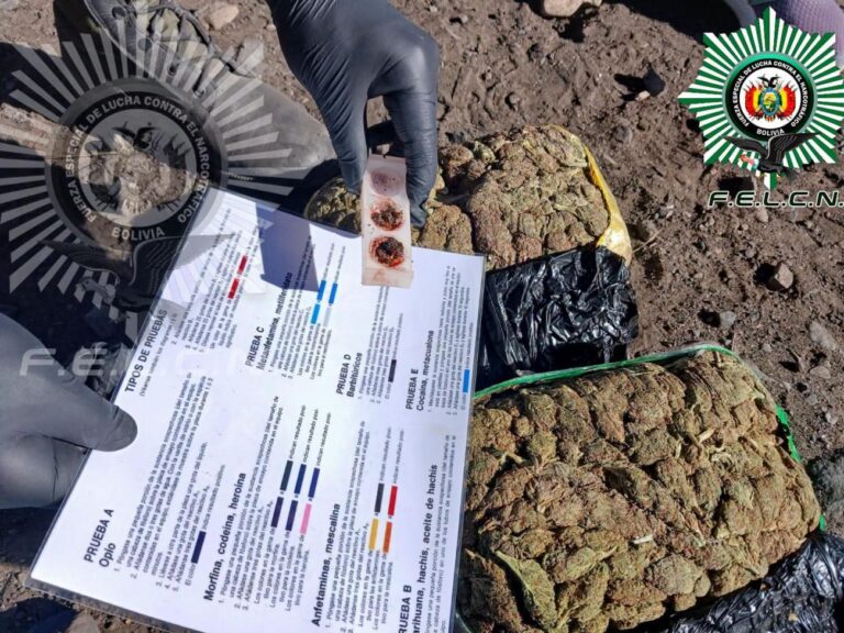Detienen a dos bolivianos con 50 cápsulas de cocaína en la frontera con Chile