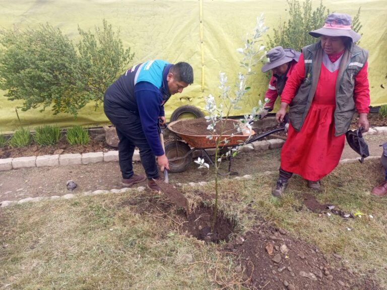 Arranca la campaña de reforestación “Venas Verdes” en El Alto
