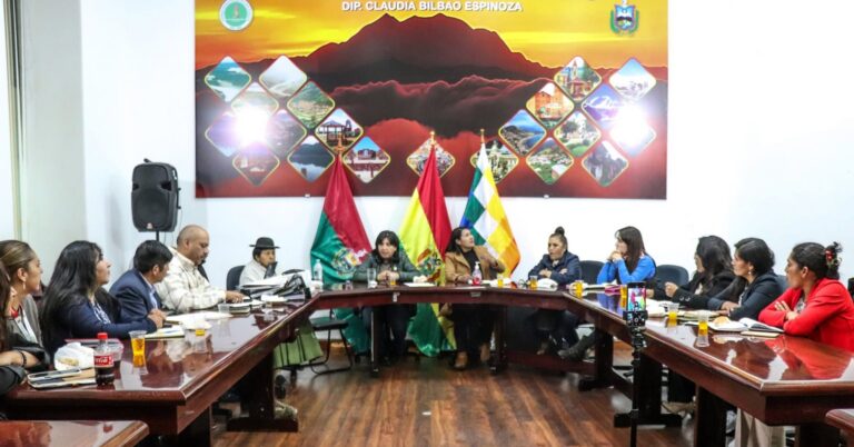 Avances en Obras Municipales de La Paz son Evaluados por la Brigada Parlamentaria