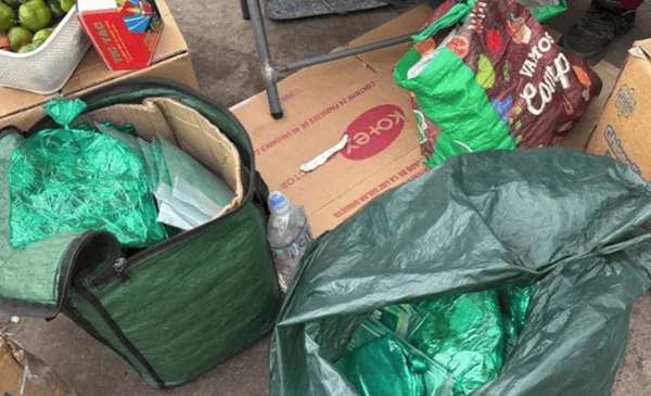 Detienen a boliviana con casi 11 kilos de hoja de coca en Chile