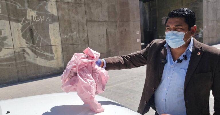 Detienen a mujer acusada de comercializar charque de zorro