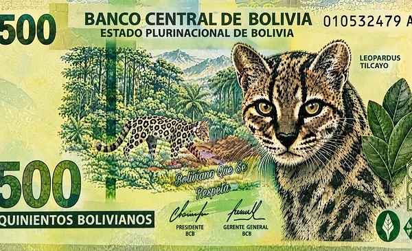 La idea de incorporar el tilcayo en un nuevo billete boliviano gana popularidad