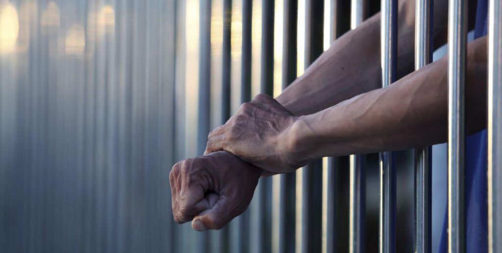 Condenan a carnicero en Nayaf por vender cerdo como carne de res