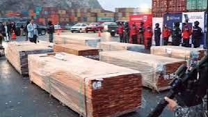 Gobierno y exportadores buscan solución diplomática por madera boliviana destruida en Chile