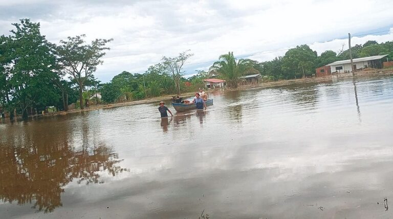 Lluvias en el Norte Cruceño afectan siembra y producen preocupación entre agricultores
