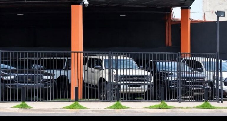 Desmantelan red criminal en Santa Cruz: 43 vehículos incautados