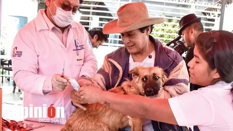Comienza la vacunación antirrábica para mascotas en todo el país