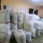 La FELCN incauta 2.500 libras de coca en la carretera Oruro-Potosí