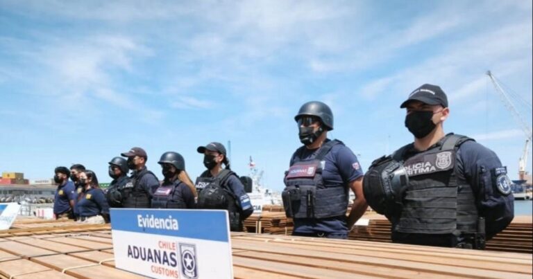 Juez chileno suspende destrucción de madera y ordena nuevas pruebas