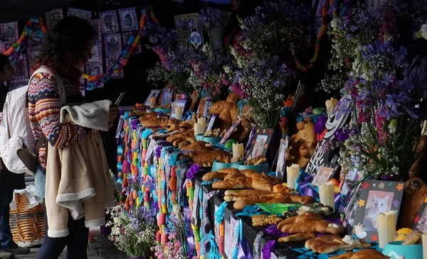 La Paz rinde homenaje a las mascotas que han partido