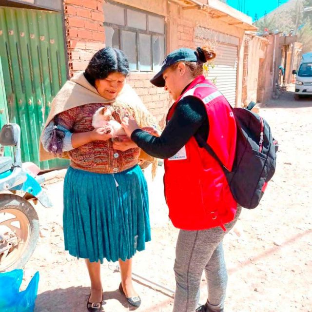 Sedes planea vacunar a 70.000 mascotas en Potosí