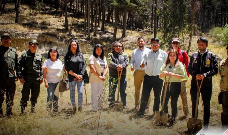 Inician acciones para salvaguardar el Bosquecillo de Pura Pura