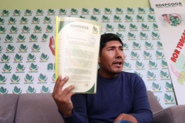 Cocaleros paceños proponen cárcel para cultivos ilegales de coca